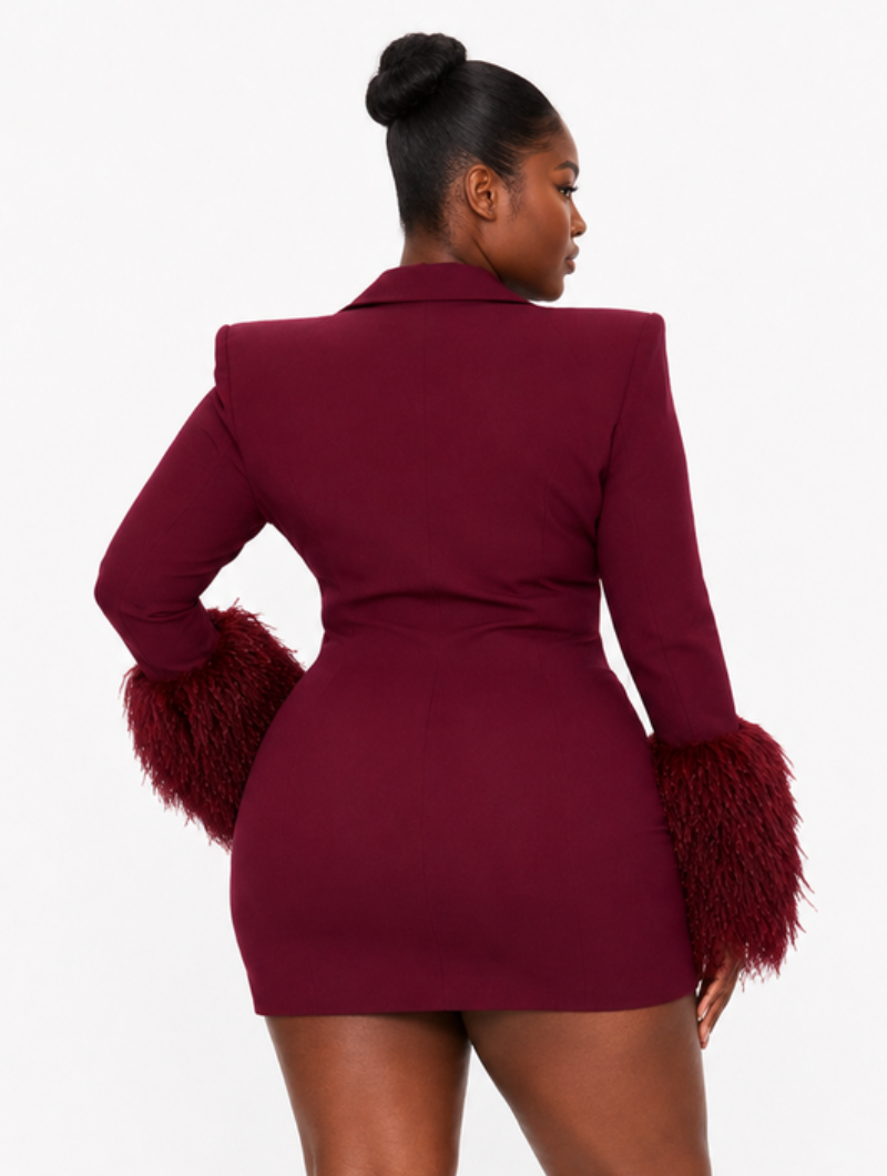 Blazer dress with feather details for women