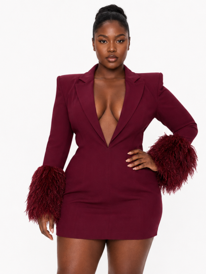 Blazer dress with feather details for women