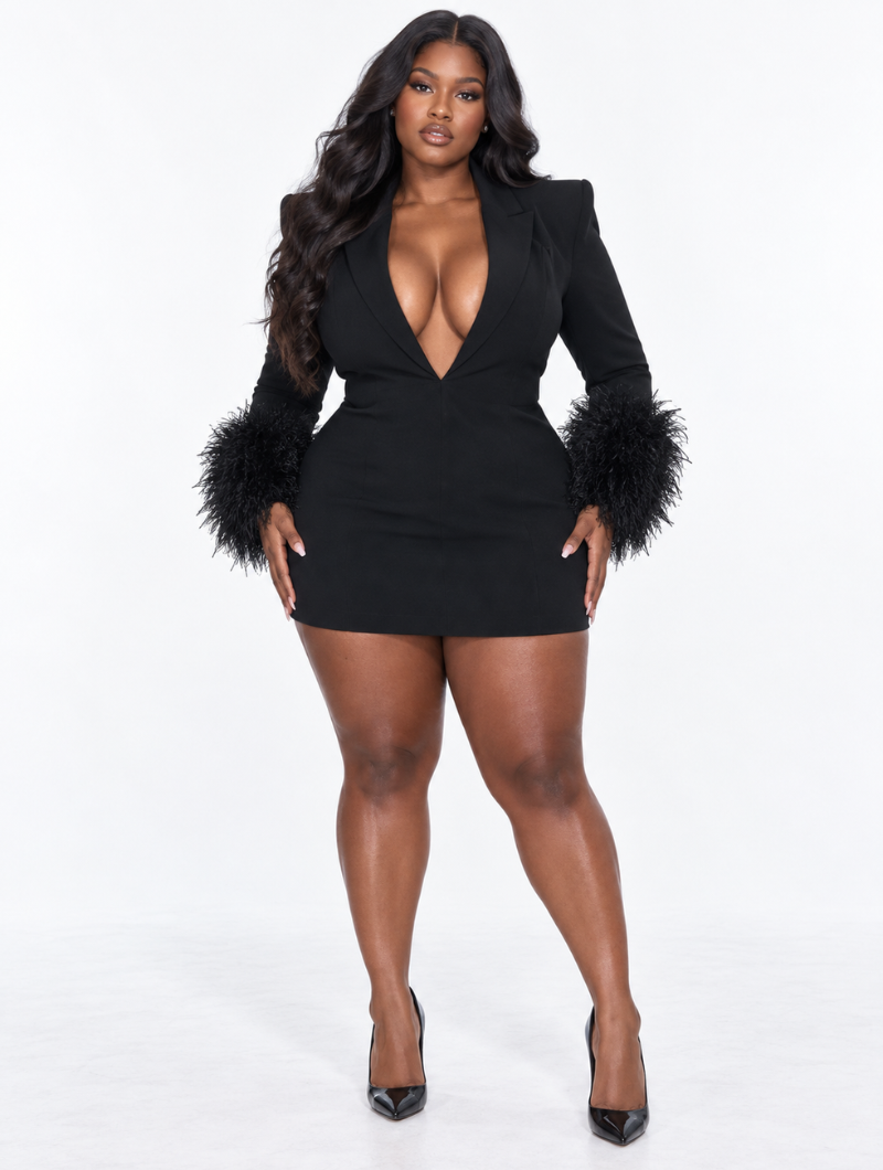 Blazer dress with feather details for women
