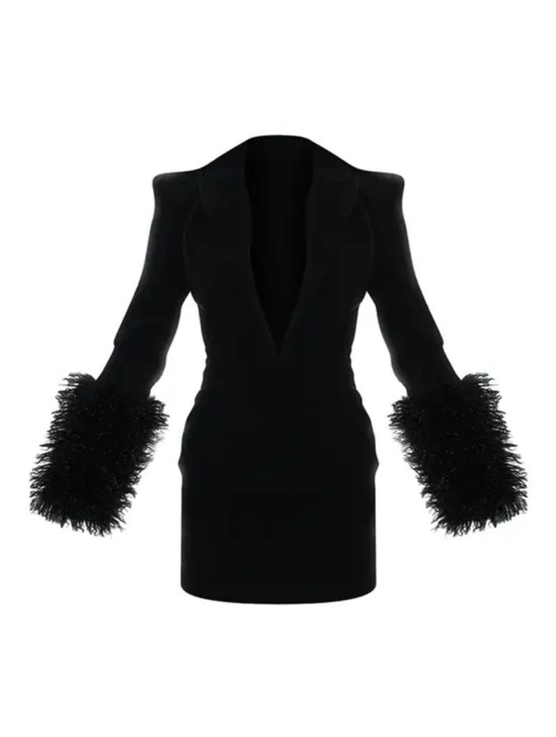Blazer dress with feather details for women