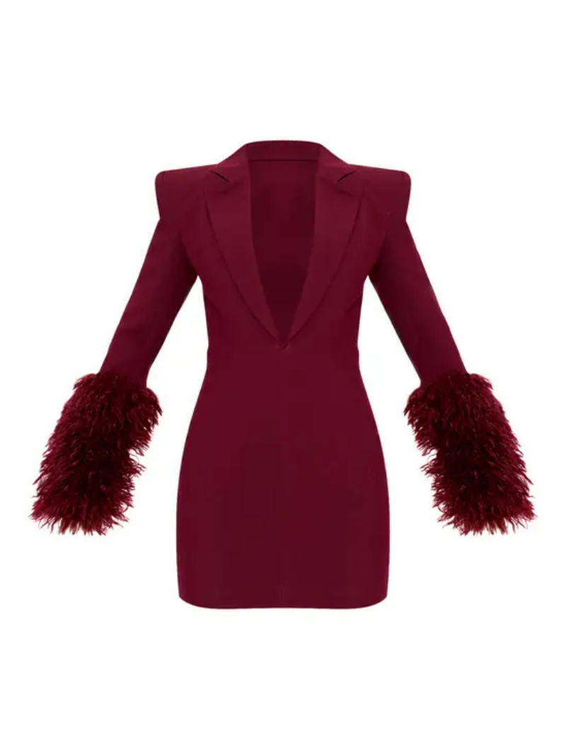 Blazer dress with feather details for women