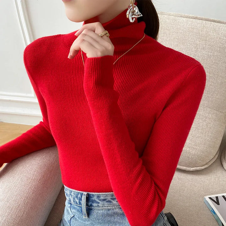 Turtleneck sweater for women