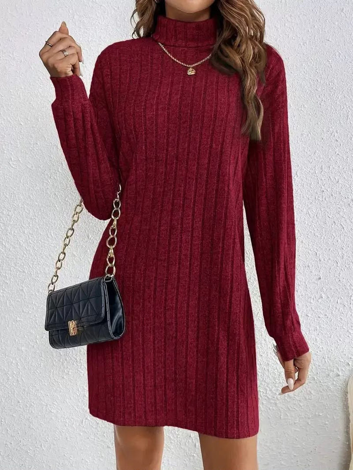 Ribbed knit turtleneck dress for women