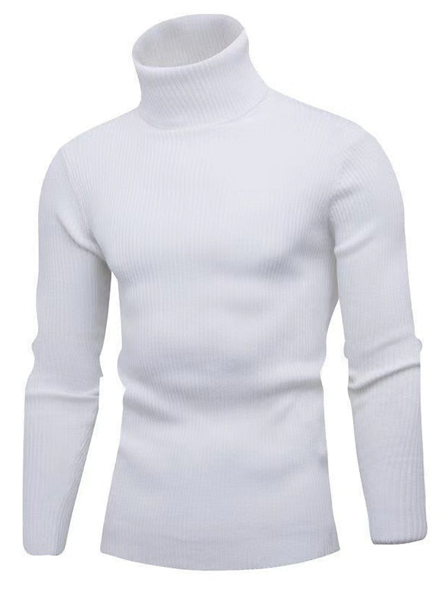Ribbed Turtleneck Sweater for Men